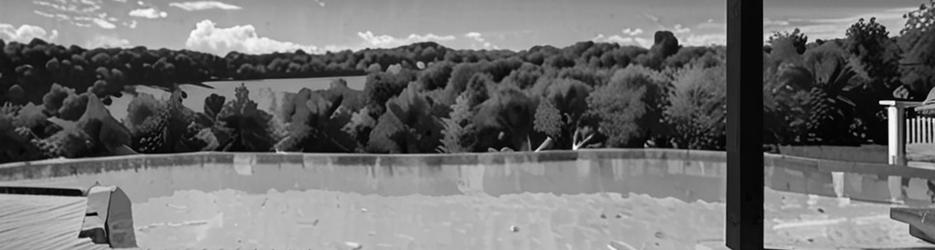 Pools & spas by Quality Dolphin Pools - Localista