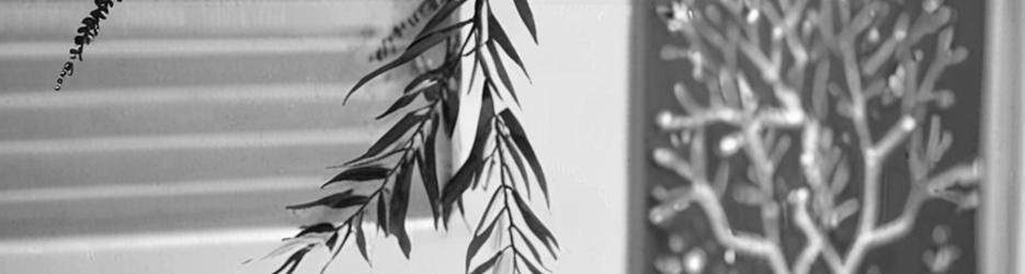 Outdoor living by Screenstyle WA - Localista