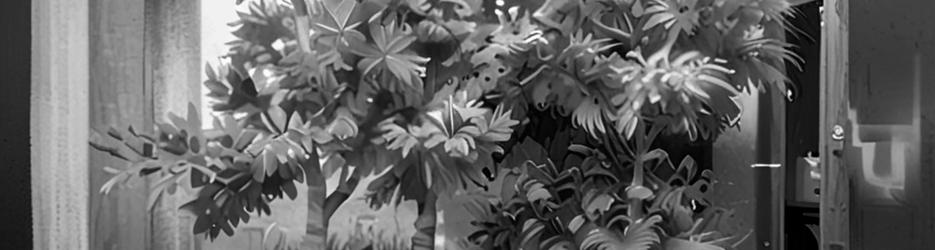 Design directions - Outdoors & Gardens - Localista