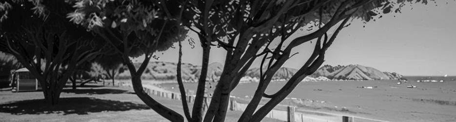 Guide to Rockingham - Localista