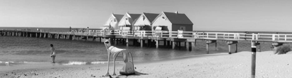 Guide to Busselton-Vasse - Localista