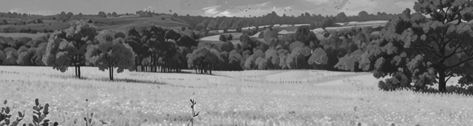 Guide to Avon Valley - Localista