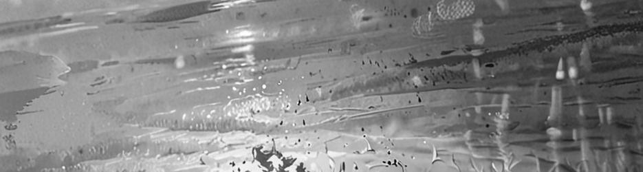 The Studio Gallery - Localista