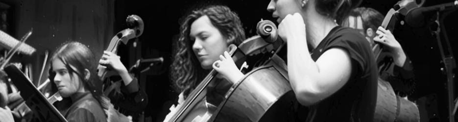 The Ensembles - Localista