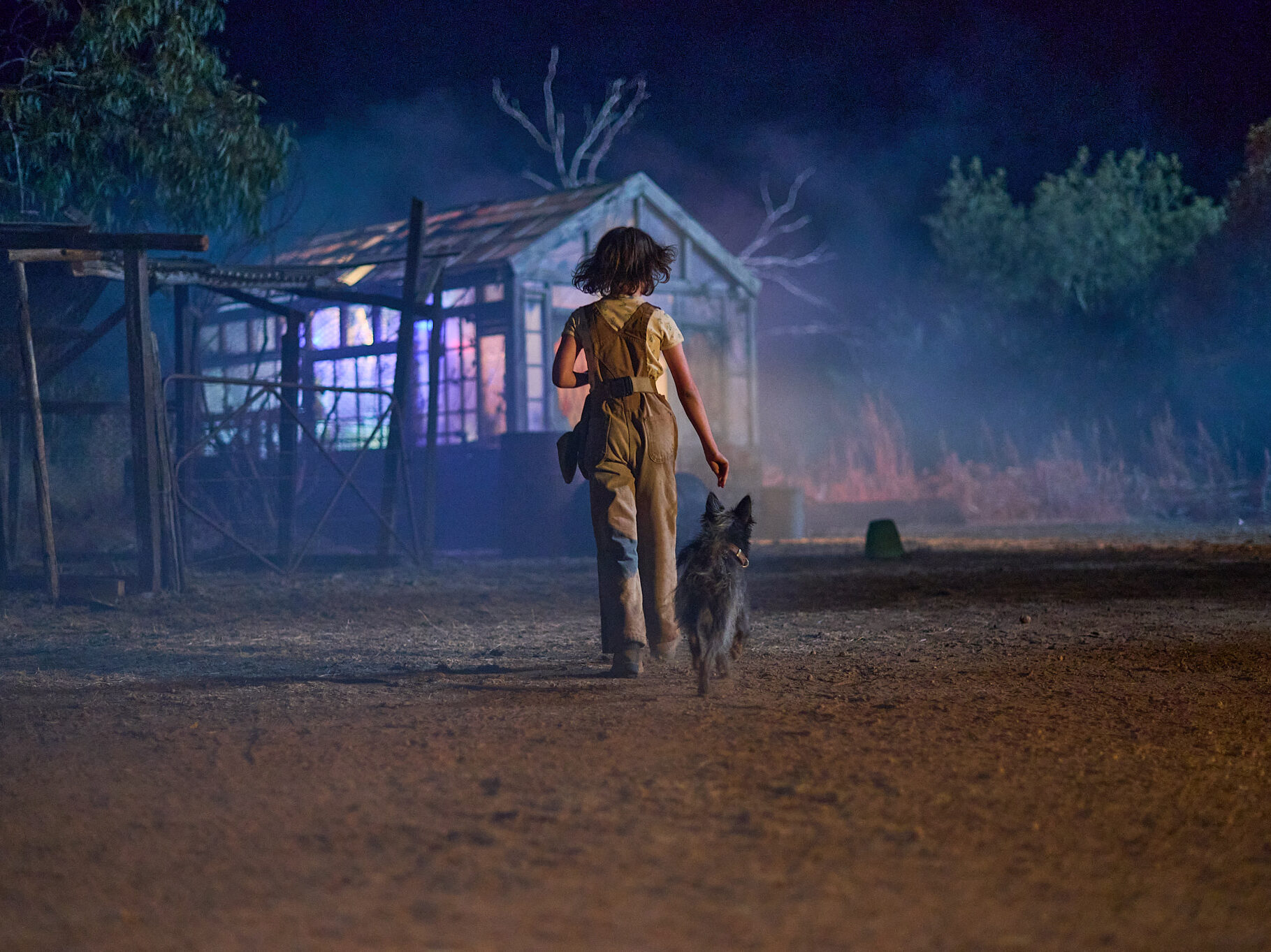 Scene from Runt (2024), featuring Annie and her dog in rural Western Australia