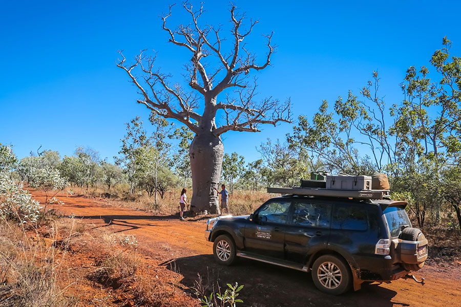 A four-wheel drive vehicle driving through the outback next to a boab tree and other greener in the Kimberley