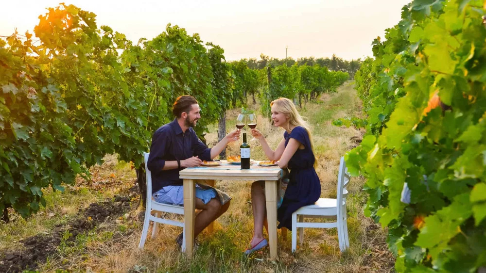 Couple enjoying New Zealand wine in a vineyard in Napier